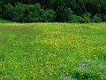 IMG_4803-2