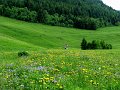 IMG_4816-2