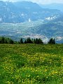 IMG_4820-2