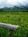 IMG_4855-2