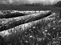 IMG_4867-3