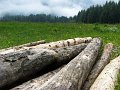 IMG_4870-2