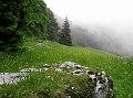 IMG_4886-2