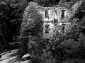 IMG_2010-2