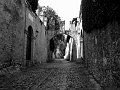 IMG_5266-2
