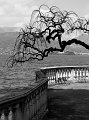 IMG_1838-2