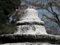 IMG_1893-2