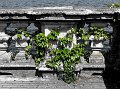 IMG_1847-2