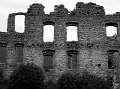 IMG_4753-2