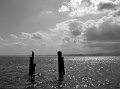IMG_5246-2