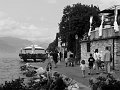IMG_5163-2