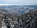 IMG_3682-2