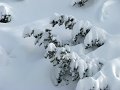 IMG_3691-2