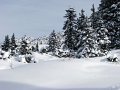 IMG_3713-2