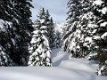 IMG_3714-2
