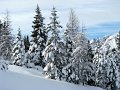 IMG_3716-2