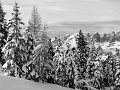 IMG_3718-3