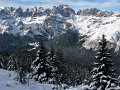 IMG_3747-2