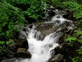 IMG_1133-2
