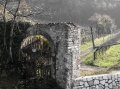 IMG_1960-2 