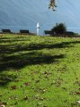 IMG_1692 