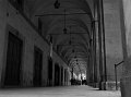 IMG_0672-2