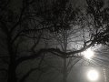 IMG_0854-2