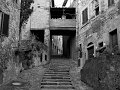 IMG_0730-2