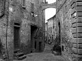 IMG_0731-2