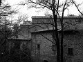 IMG_0821-2