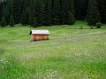 IMG_5106-2