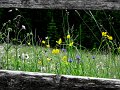 IMG_5109-2