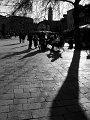 IMG_0071-2