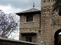 IMG_2084-2