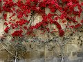 IMG_2054-2
