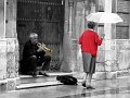 IMG_2045-3