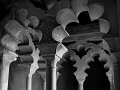 IMG_2103-2