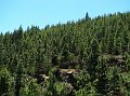 IMG_2619-2
