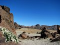 IMG_2720-2