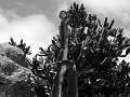 IMG_2449-2