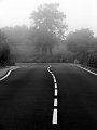 IMG_2501-2
