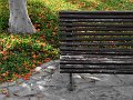 IMG_2567-2