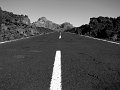 IMG_4564-2