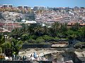 IMG_2447-2