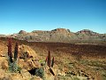 IMG_2694-2