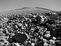 IMG_4618-2