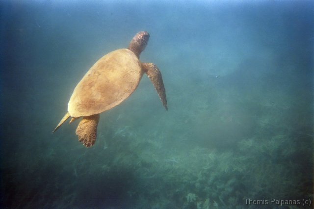 Image001-2.jpg