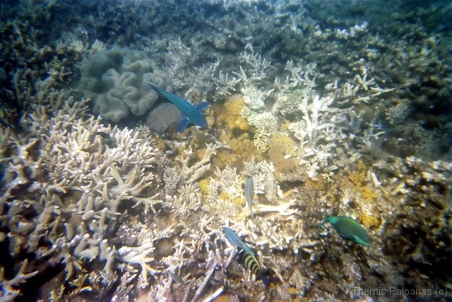 Image003-2.jpg