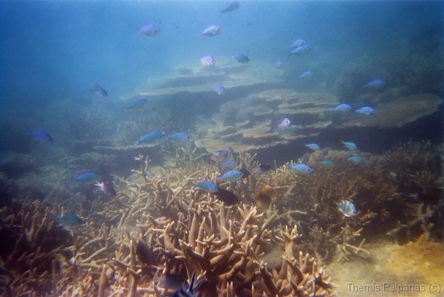 Image004-2.jpg