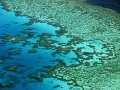 IMG_7499-2
